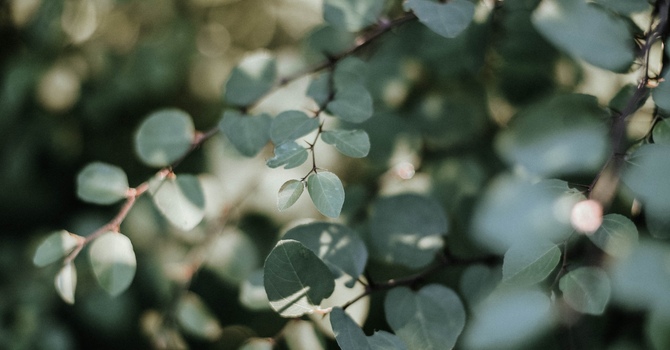 Couples Counseling - Rebuilding and Reconnecting
